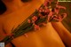 A woman holding a bunch of pink flowers on her back.